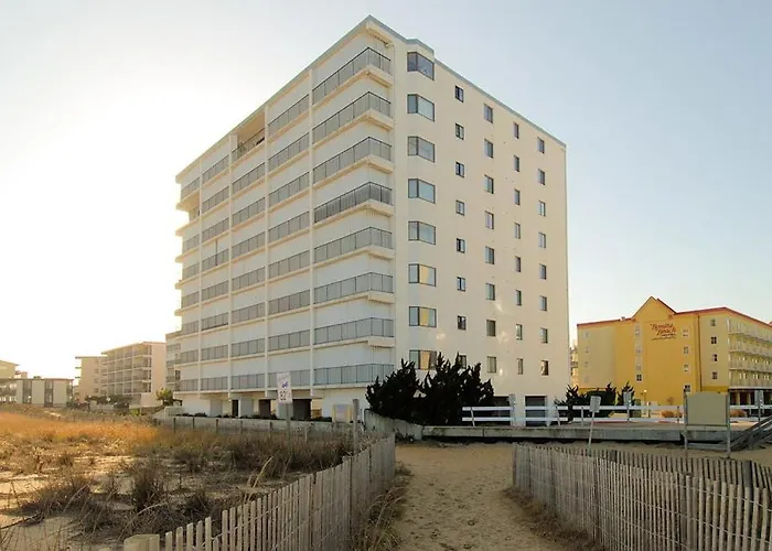 Golden Surf 701 *